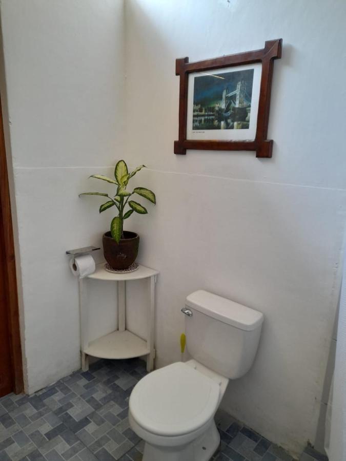 Casa Yoly Hostel Granada Dış mekan fotoğraf