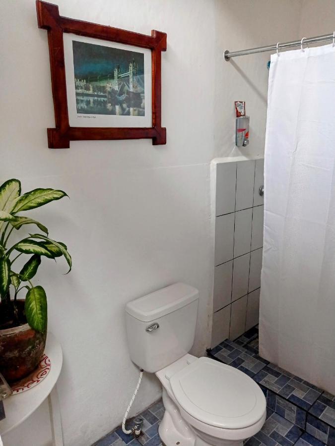 Casa Yoly Hostel Granada Dış mekan fotoğraf